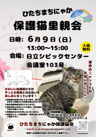 ひたちまちにゃか保護猫里親会