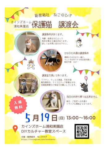 秘密結社ねこのひげ♡保護猫譲渡会