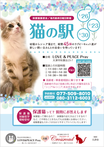 猫の駅～ラブピーキャット譲渡会～