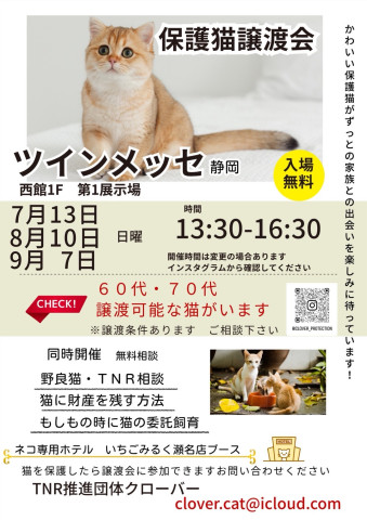 クローバー保護猫譲渡会&地域猫活動相談会 in静岡市