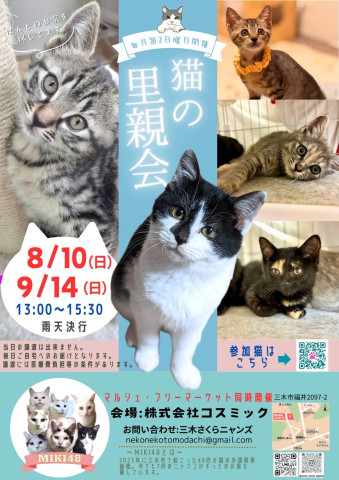 猫の里親会