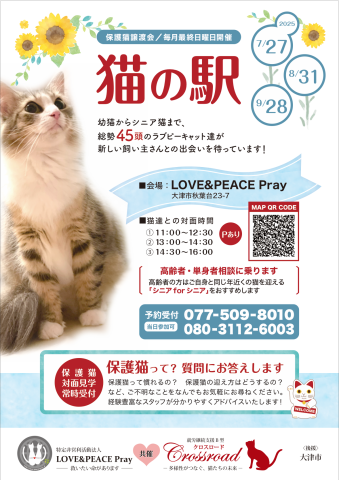 猫の駅～ラブピーキャット譲渡会～