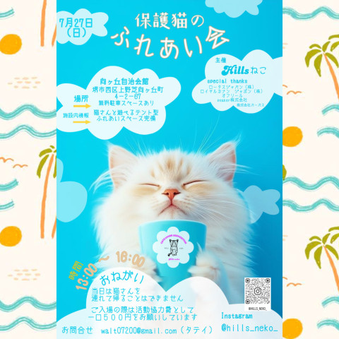 保護猫のふれあい会