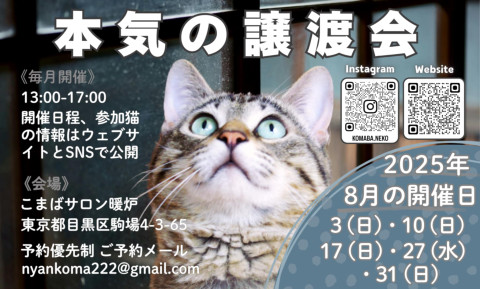 本気の譲渡会
