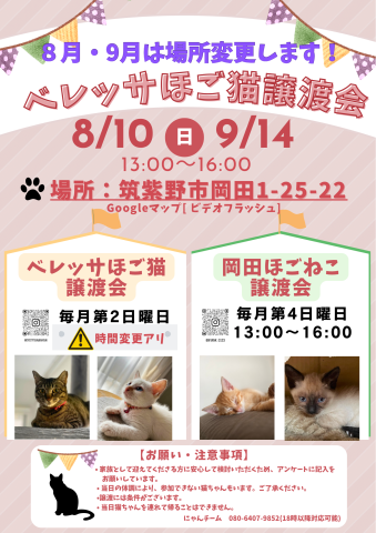 ベレッサほご猫譲渡会
