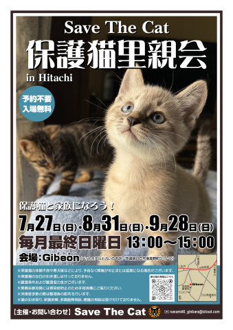 保護猫里親会 in Hitachi