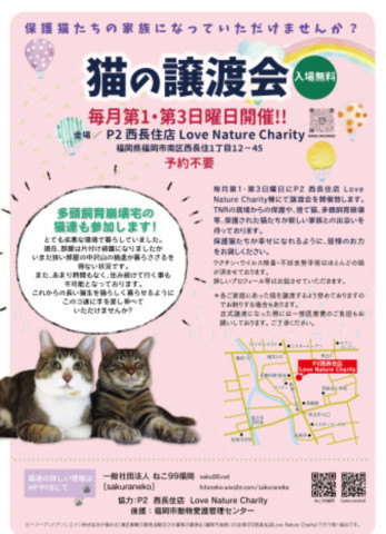 ねこ99福岡×[sakuraneko]合同譲渡会