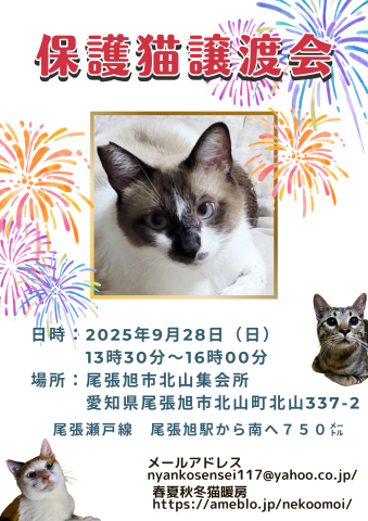 保護猫譲渡会