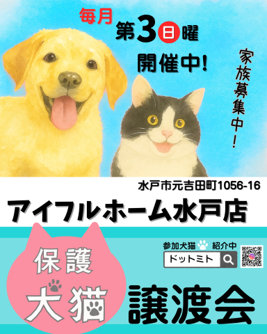 譲渡会 at アイフルホーム水戸店