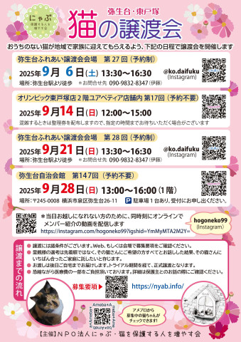 弥生台・東戸塚　猫の譲渡会
