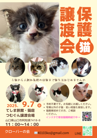 保護猫譲渡会