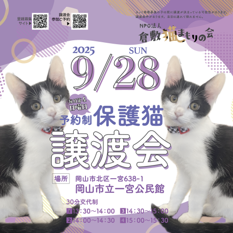 保護猫譲渡会（予約制）