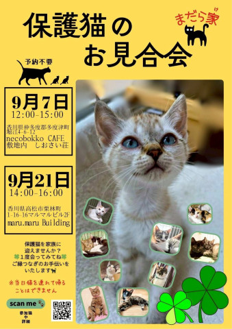まだら家🍀保護猫のお見合い会