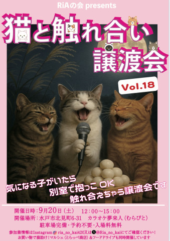 猫と触れ合い譲渡会