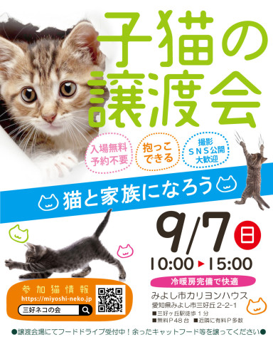 子猫中心22匹の子猫まつり★みよし市
