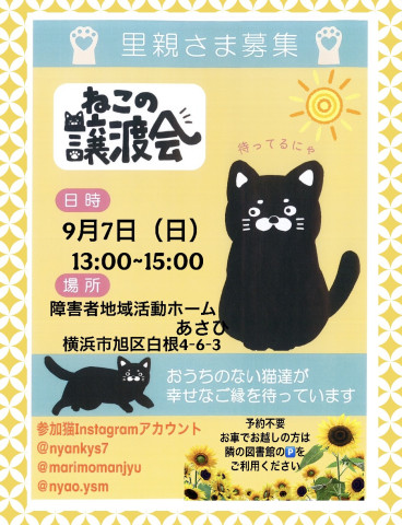 保護ねこ譲渡会in横浜市旭区