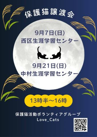 猫の譲渡会　名古屋市西区