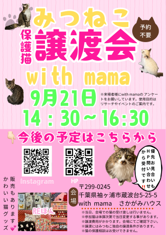 みつねこ譲渡会IN with  mama