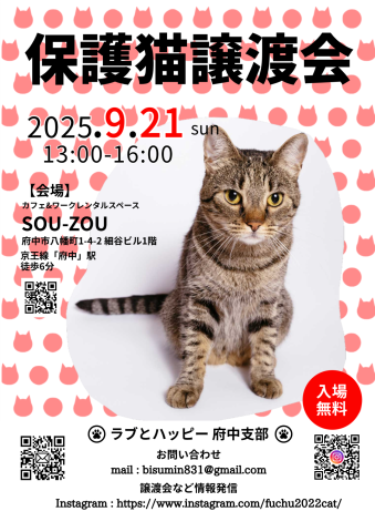 ラブとハッピー府中【保護猫譲渡会】 