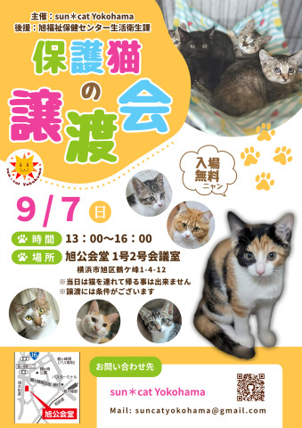 保護猫の譲渡会@sun＊cat Yokohama