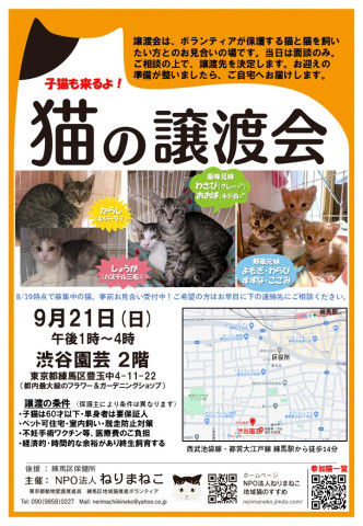 猫の譲渡会、渋谷園芸・練馬本店