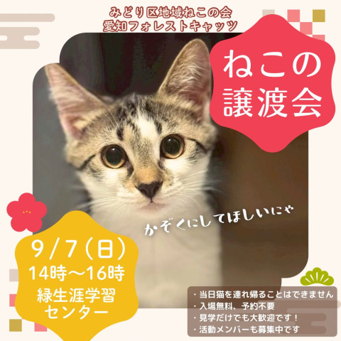 合同保護ねこ譲渡会　名古屋市