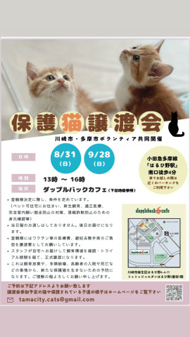 保護猫の譲渡会inはるひ野