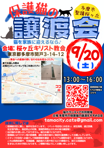 保護猫の譲渡会in聖蹟桜ヶ丘