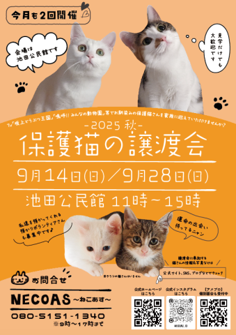 9月も2回開催！　NECOAS　譲渡会　静岡市駿河区