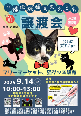 保護猫譲渡会〜八幡地域猫を考える会〜 