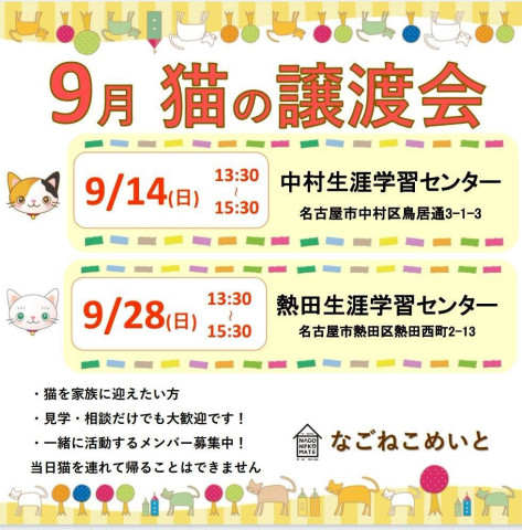 【名古屋市】譲渡会　なごねこめいと