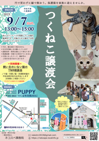 つくねこ譲渡会