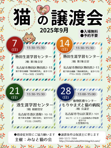 ネコの譲渡会 名古屋市熱田区