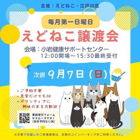 えどねこ譲渡会