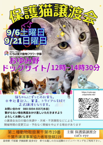 保護猫譲渡会Cat'seye