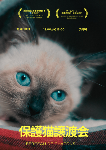 保護猫譲渡会