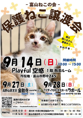 富山ねこの会　保護ねこ譲渡会