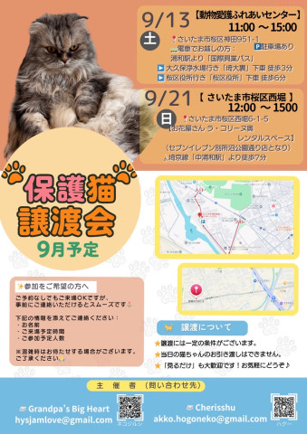 猫の譲渡会inさいたま市