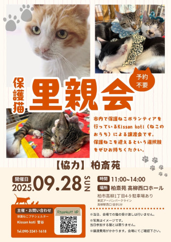 柏斎苑保護ねこ里親会