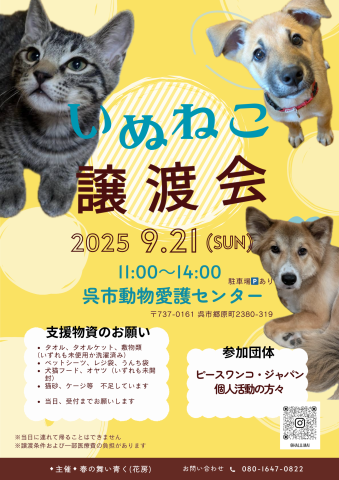 いぬねこ譲渡会