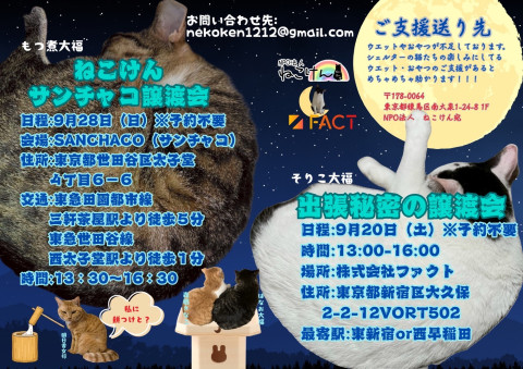 ねこけんSANCHACO譲渡会