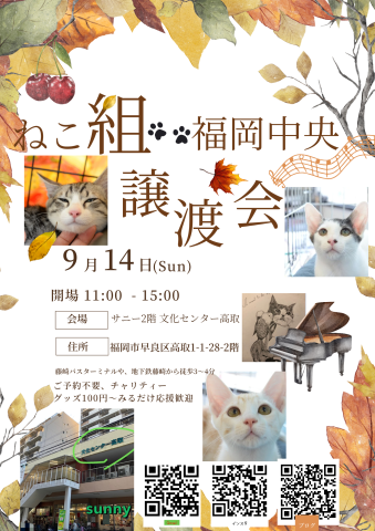 ねこ組🐾福岡中央