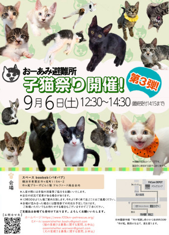 おーあみ避難所譲渡会in市ヶ尾