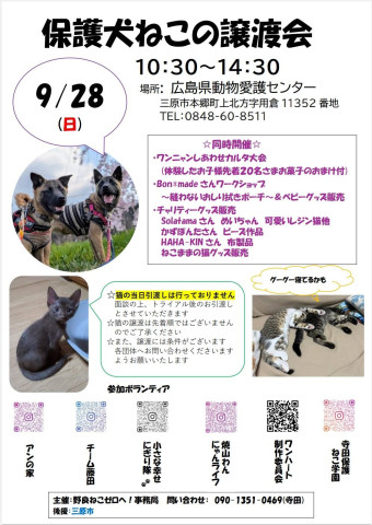 保護犬ねこの譲渡会