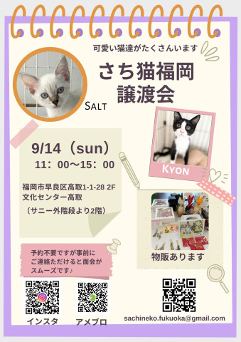 さち猫福岡譲渡会　文化センター高取
