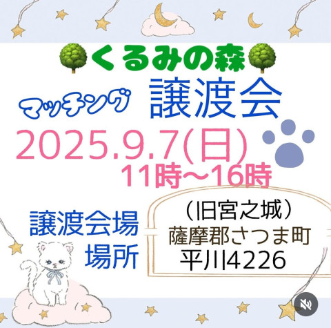 マッチング譲渡会