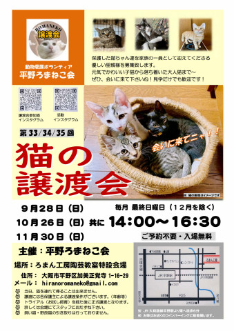第33回 平野ろまねこ譲渡会