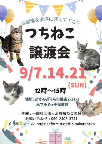 つちねこ譲渡会