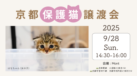 京都保護猫譲渡会