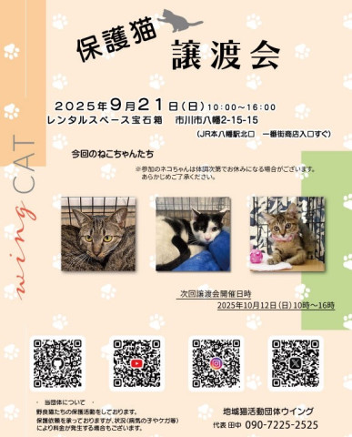 市川市地域猫活動団体ウイング譲渡会